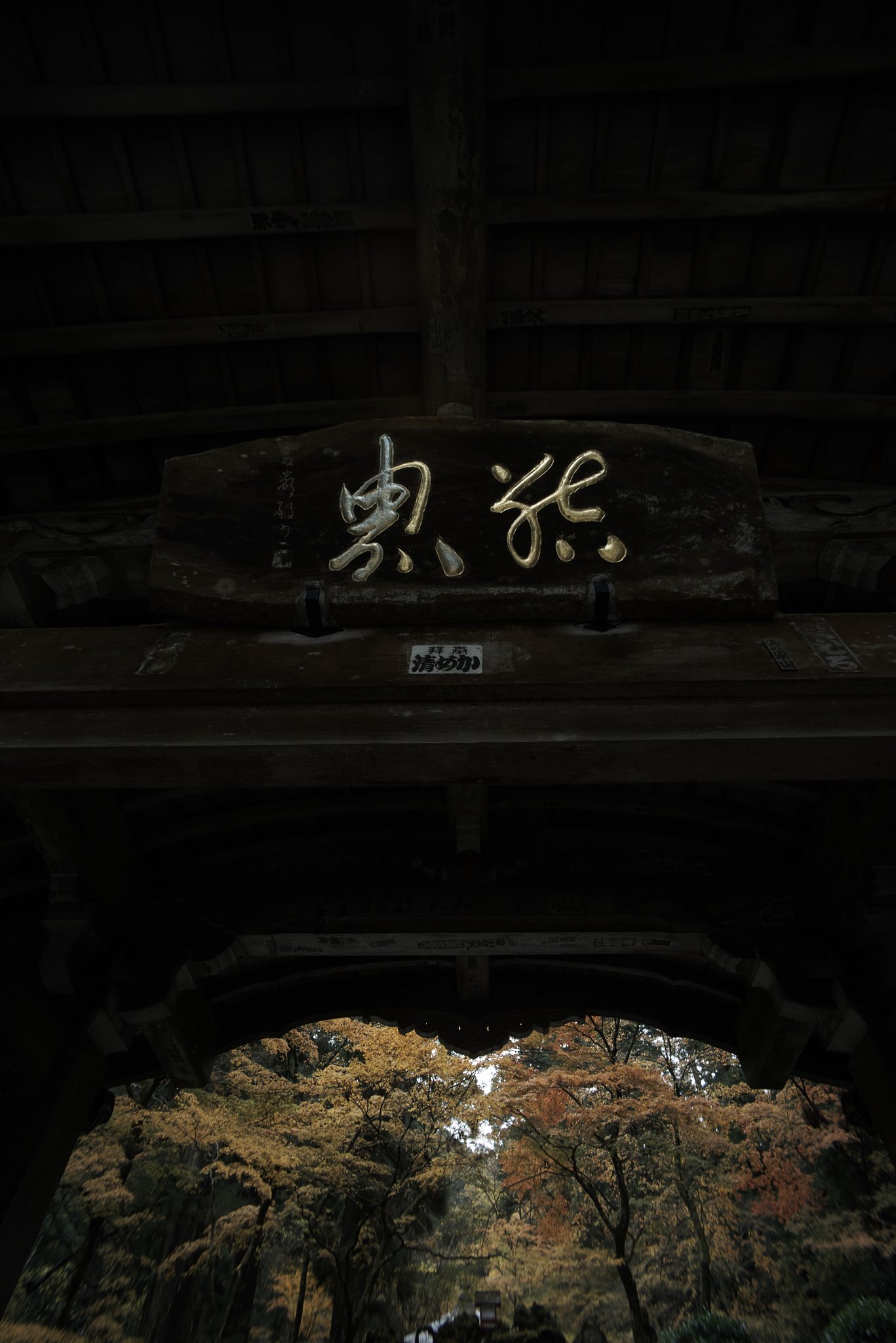 Distagon 1:4 f=18mm