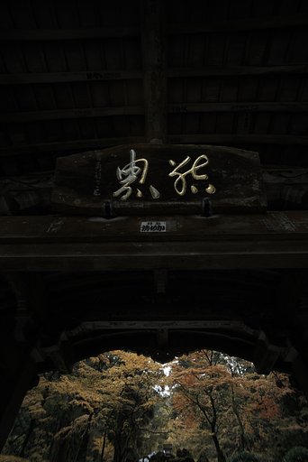 Distagon 1:4 f=18mm