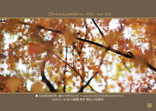 「六義園紅葉」三部作その1