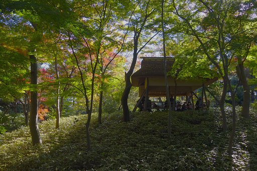 六義園②
