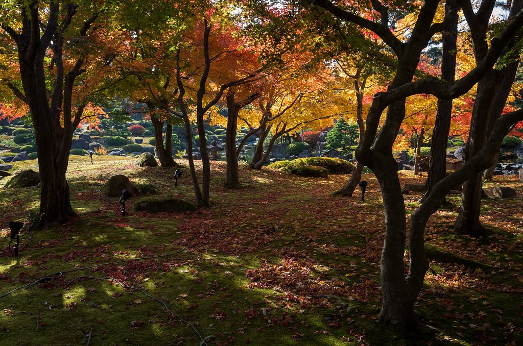 SIGMA 17-70mm F2.8-4
