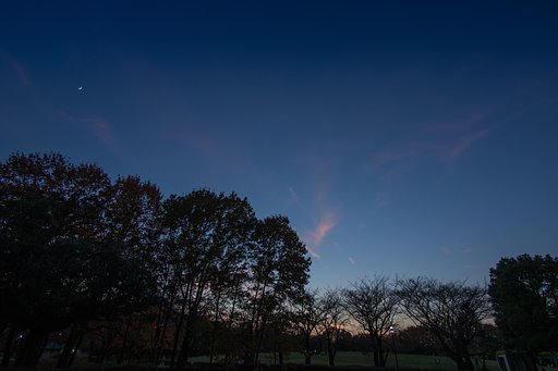 LUMIX G VARIO 7-14mm F4 ASPH