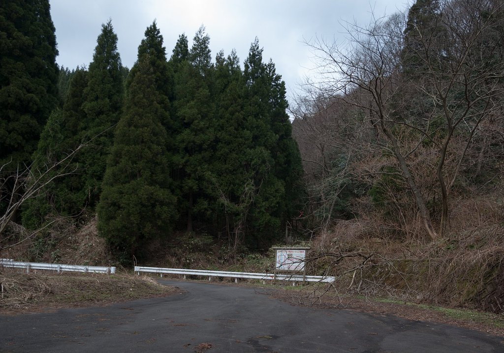 基幹林道。