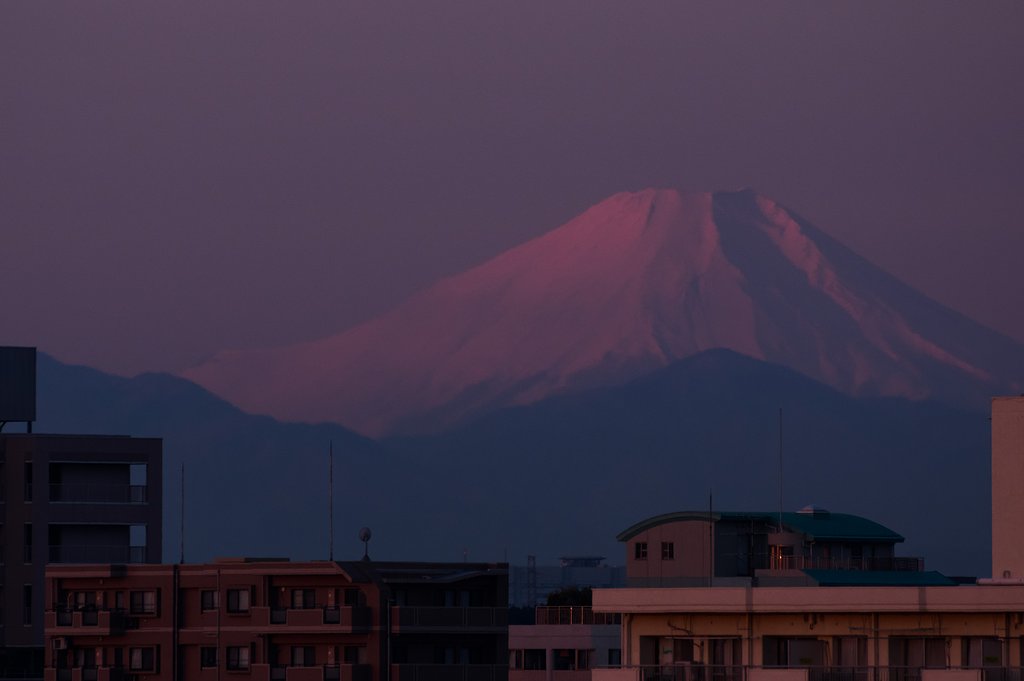 仕事始めの朝