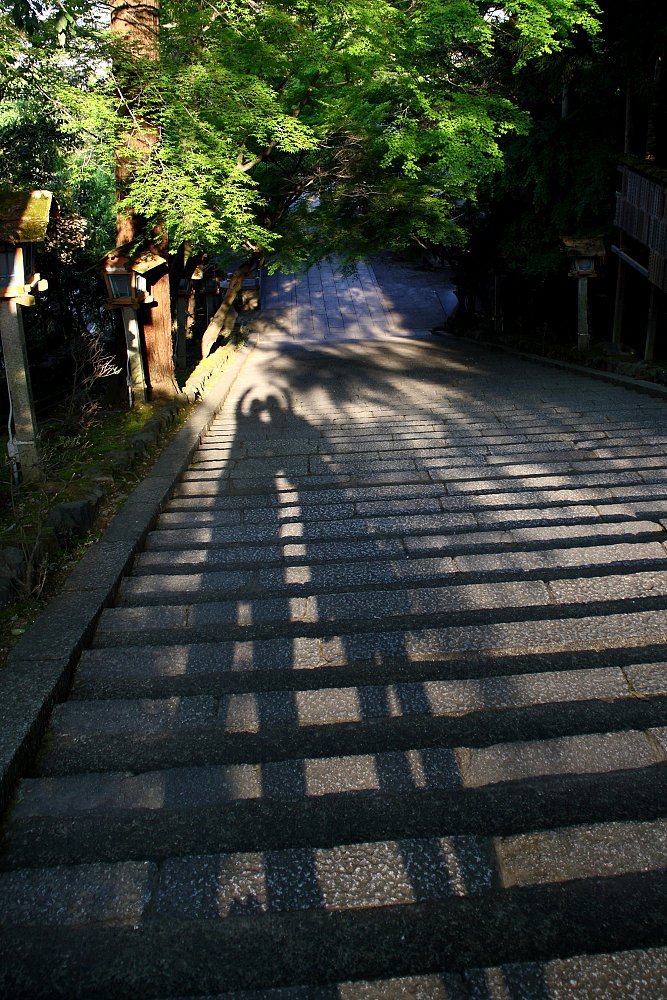 ４月のお題は【影遊び】