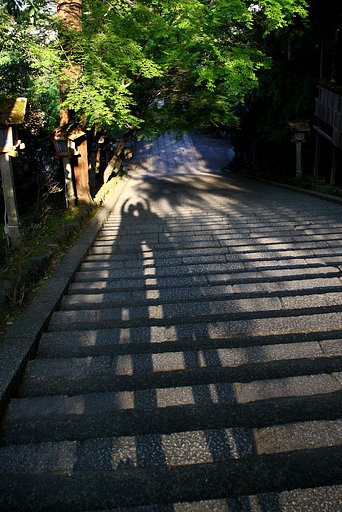 ４月のお題は【影遊び】