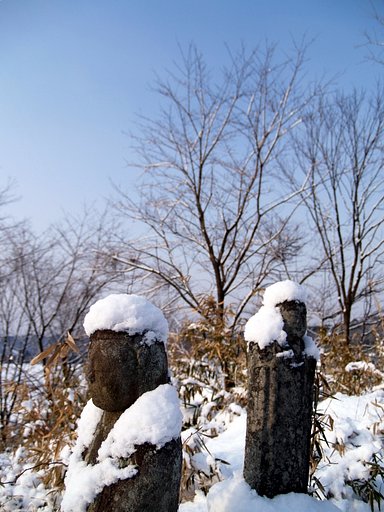 【春】春を撮りに行ったのに　その２　コンビ解消