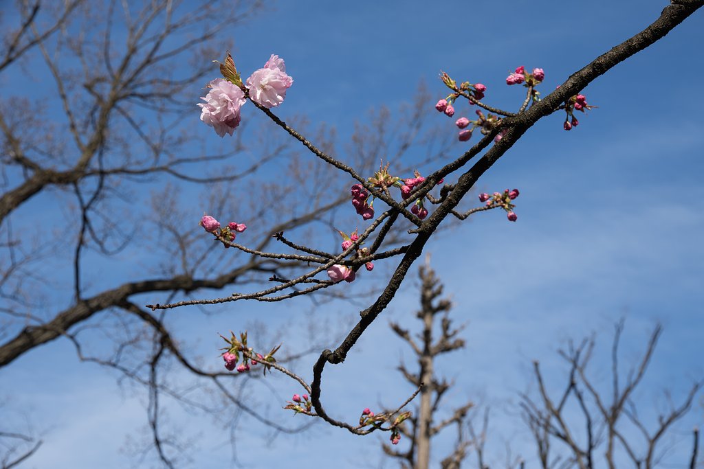 EF-S 15-85mm F3.5-5.6 USM