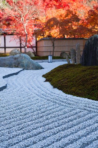 燃える枯山水