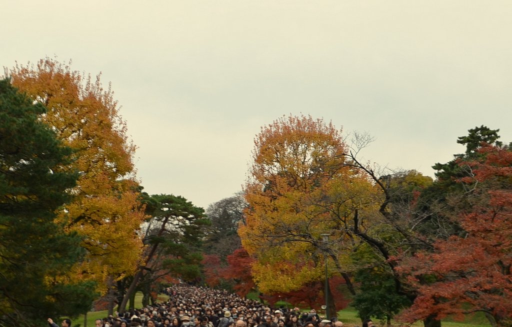 乾通りの風景
