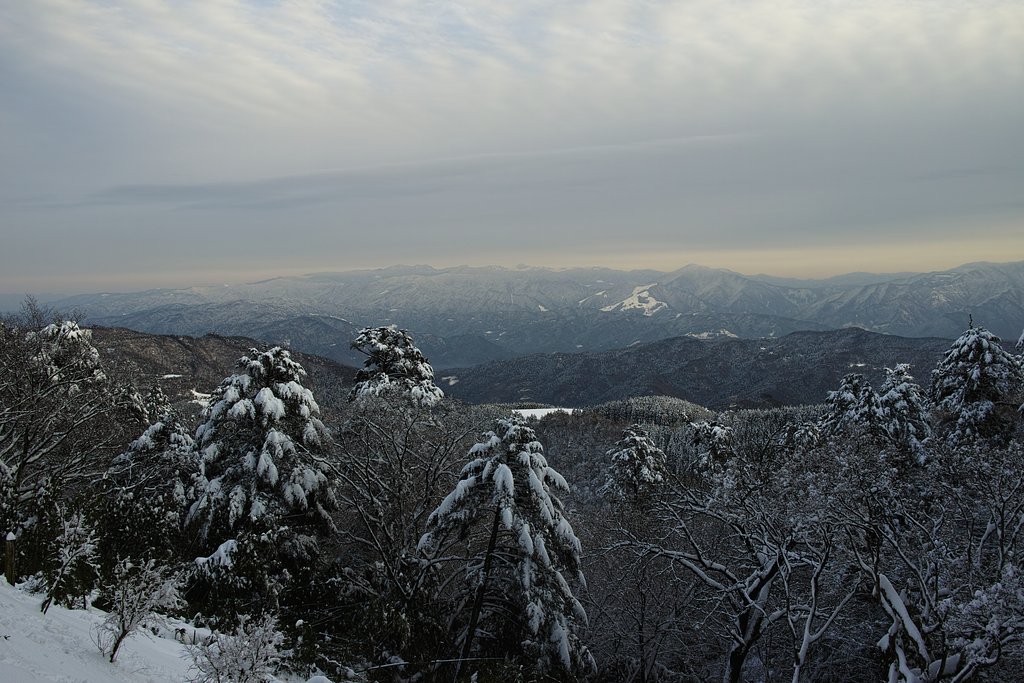 四国山地