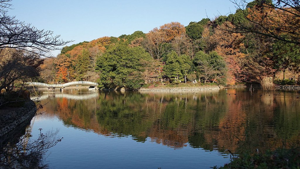 晩秋の公園