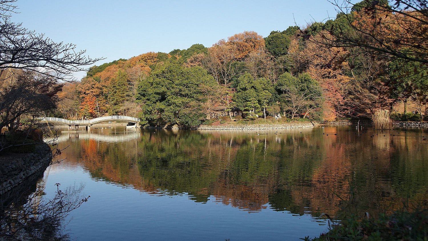 晩秋の公園