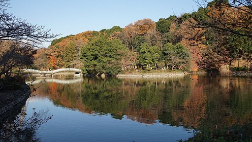 晩秋の公園