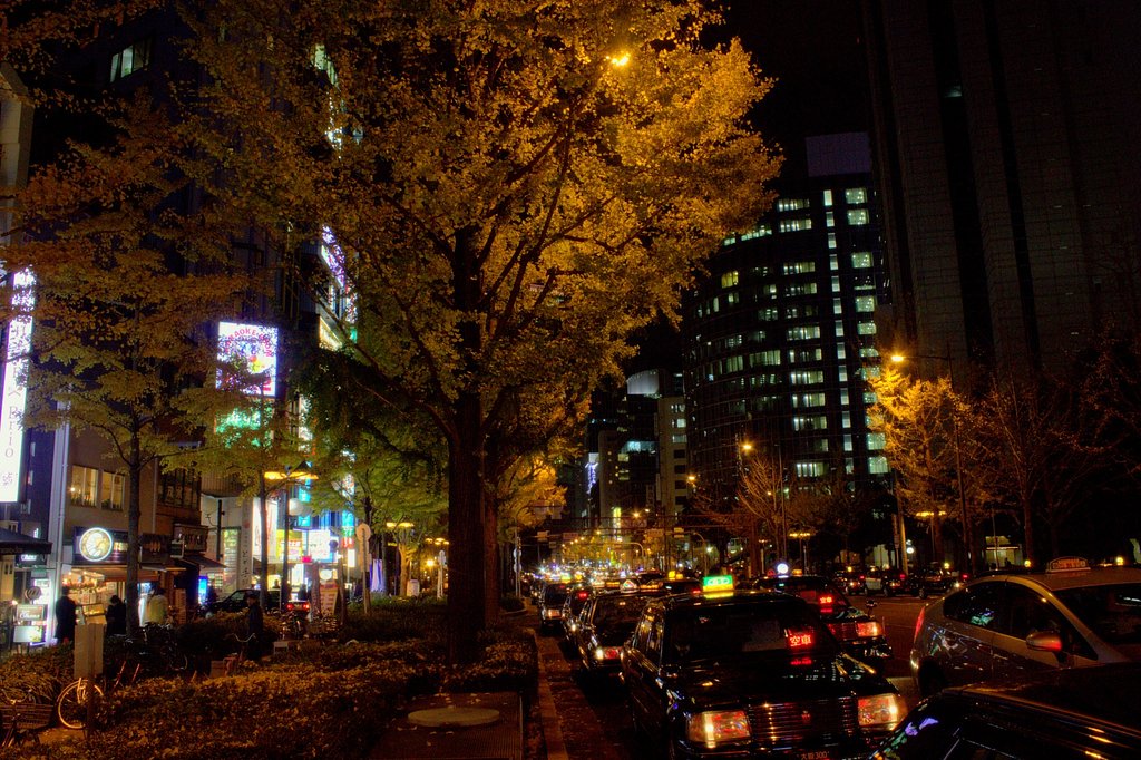 御堂筋、銀杏並木の夜