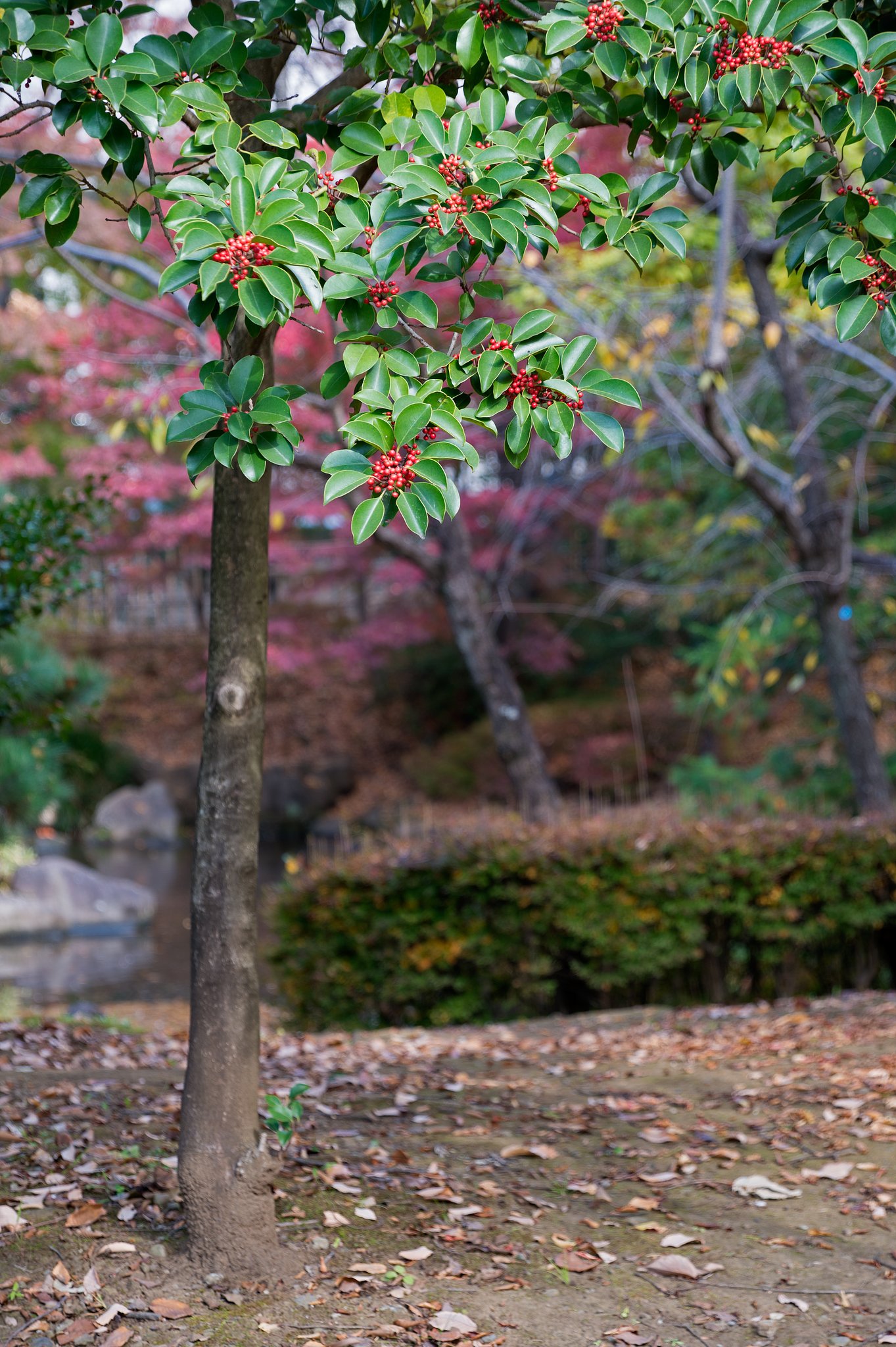 TAMRON 28-300mm F/3.5-6.3 VC PZD Di A010N