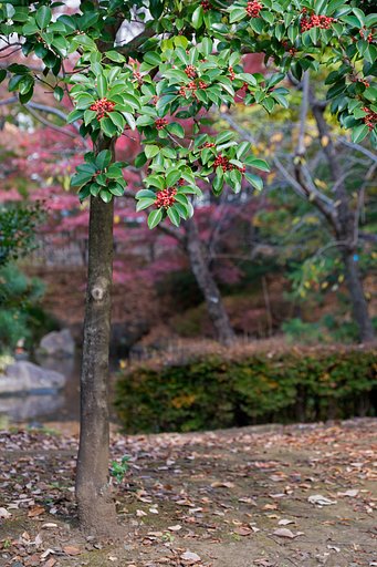 TAMRON 28-300mm F/3.5-6.3 VC PZD Di A010N