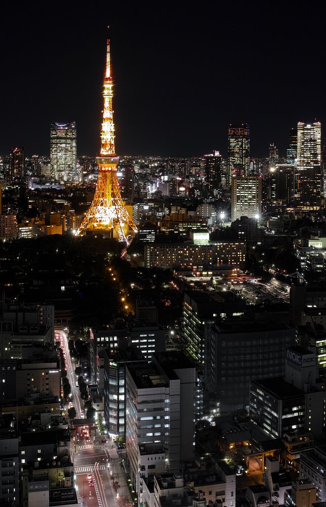Tokyo Night View 