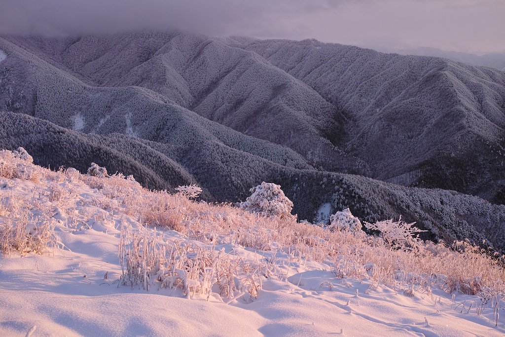 雪化粧