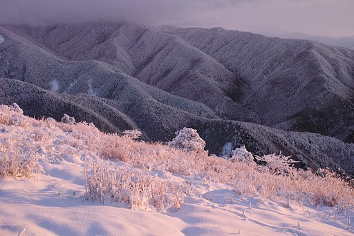 雪化粧