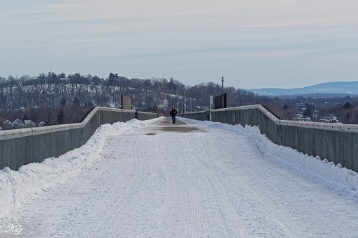 ハドソン河に架かる歩道橋