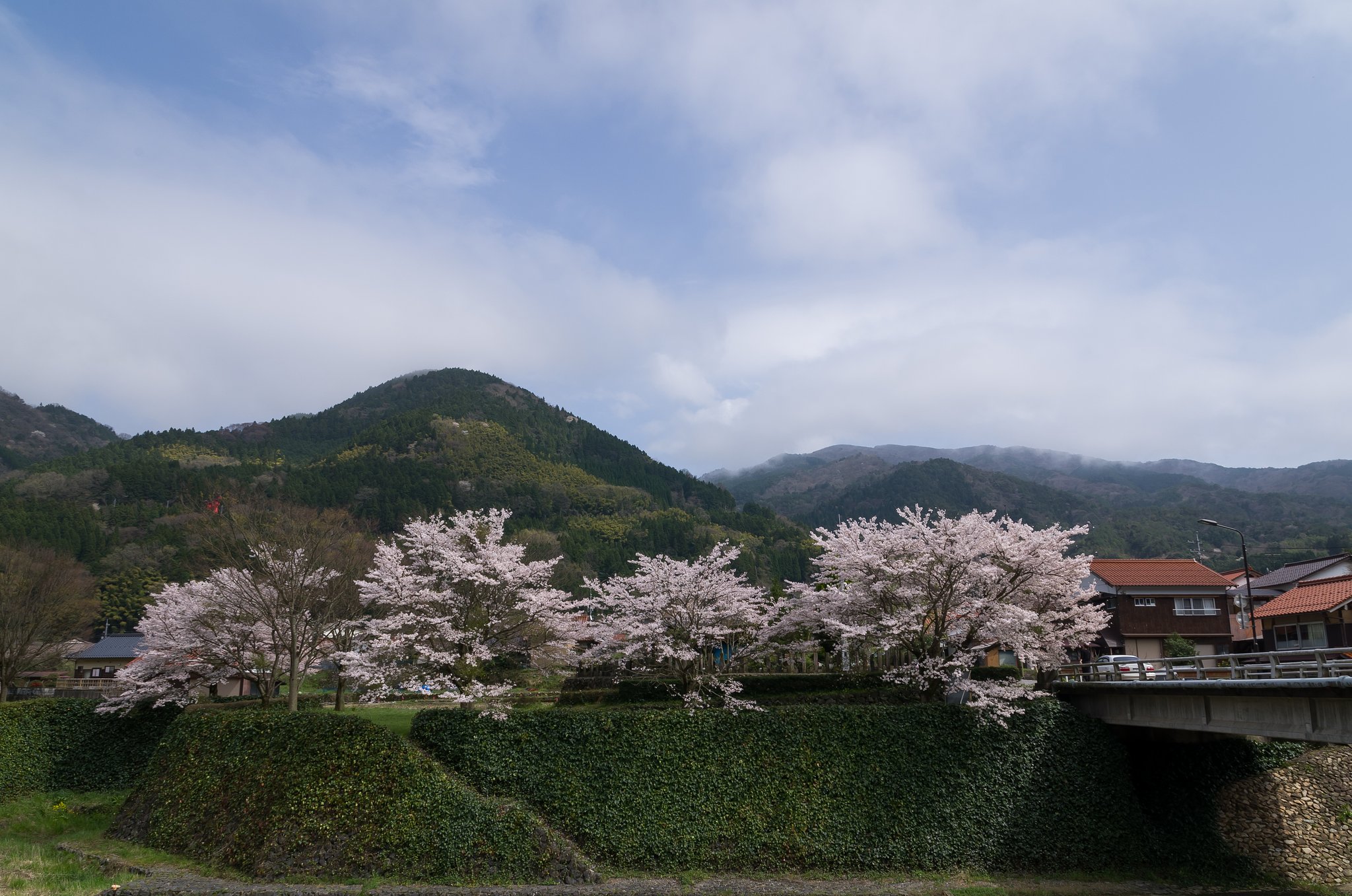 SIGMA 17-70mm F2.8-4 DC MACRO 