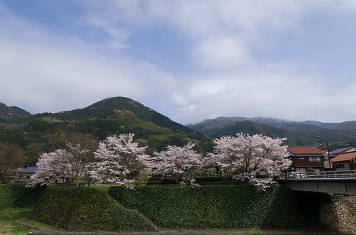 SIGMA 17-70mm F2.8-4 DC MACRO 