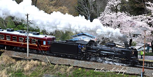 秩父鉄道　パレオXP