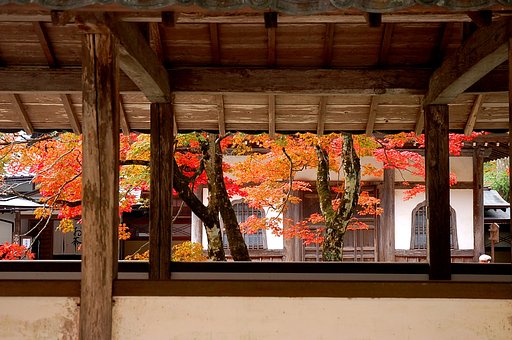 永源寺が色づく