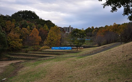 明日の天気は雨？