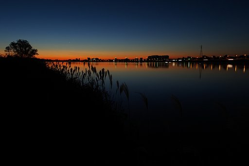 透明な夜明け