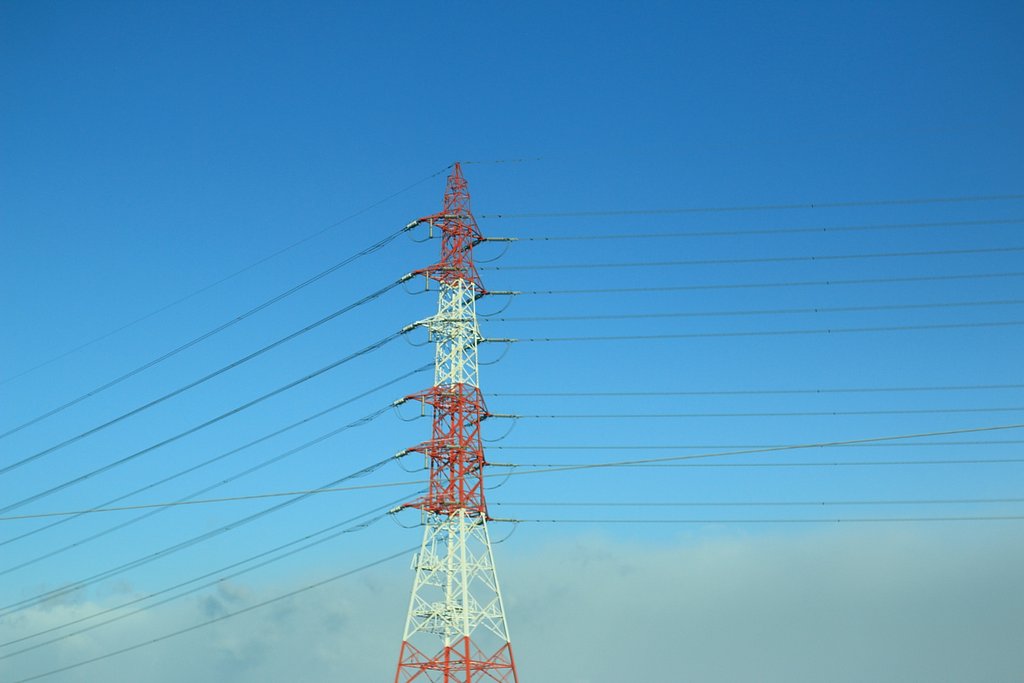 電気イカと遠い雲