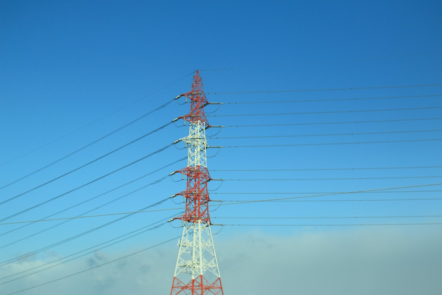 電気イカと遠い雲