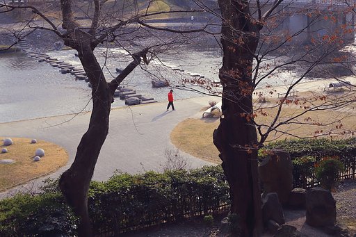 河川敷の光景