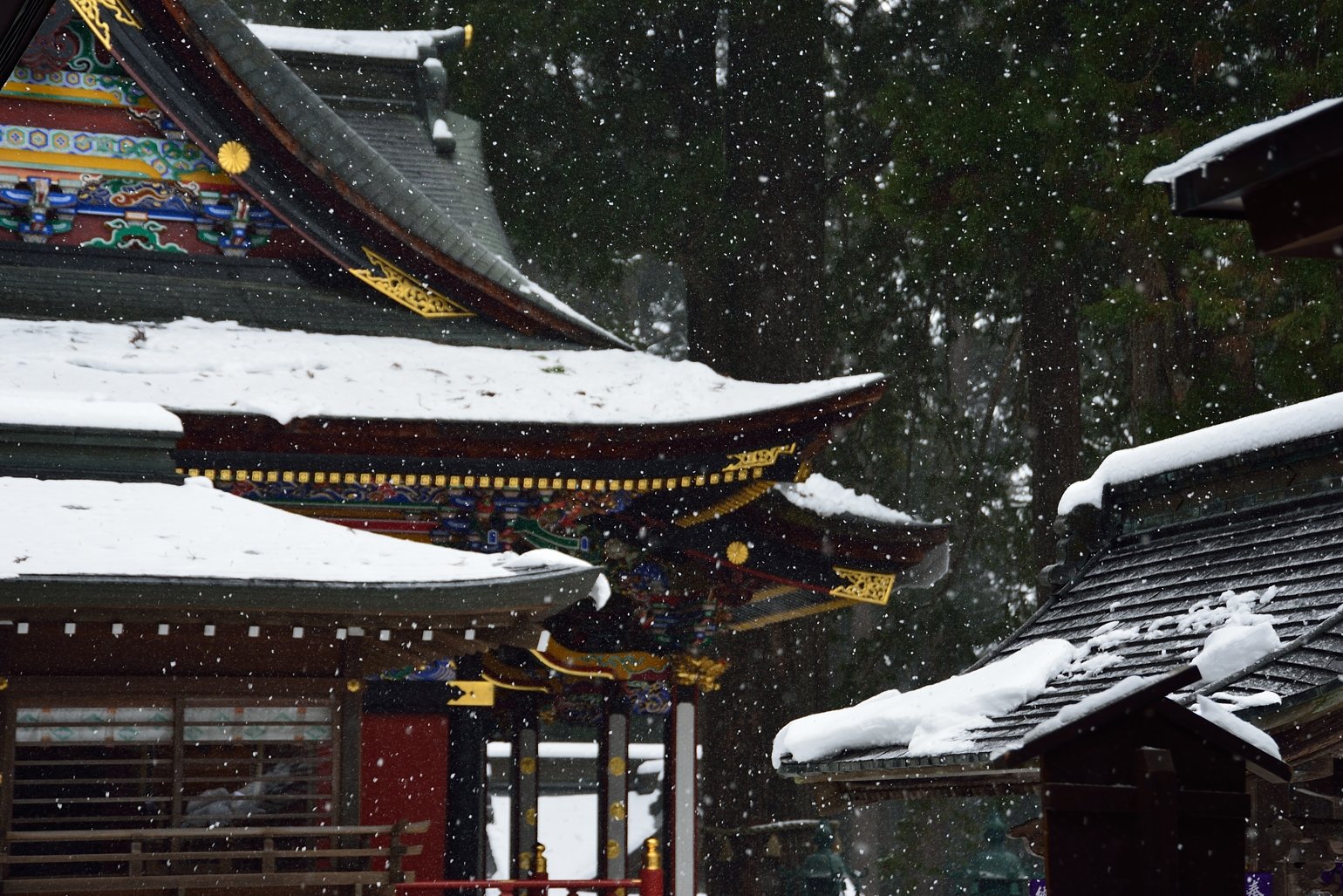 神様も凍える雪