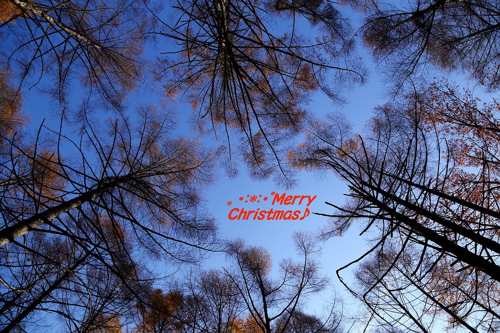 """｡･:*:･ﾟ☆ﾒﾘｰｸﾘｽﾏｽ･:*:･ﾟ☆"