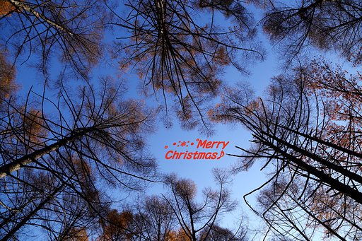 """｡･:*:･ﾟ☆ﾒﾘｰｸﾘｽﾏｽ･:*:･ﾟ☆"