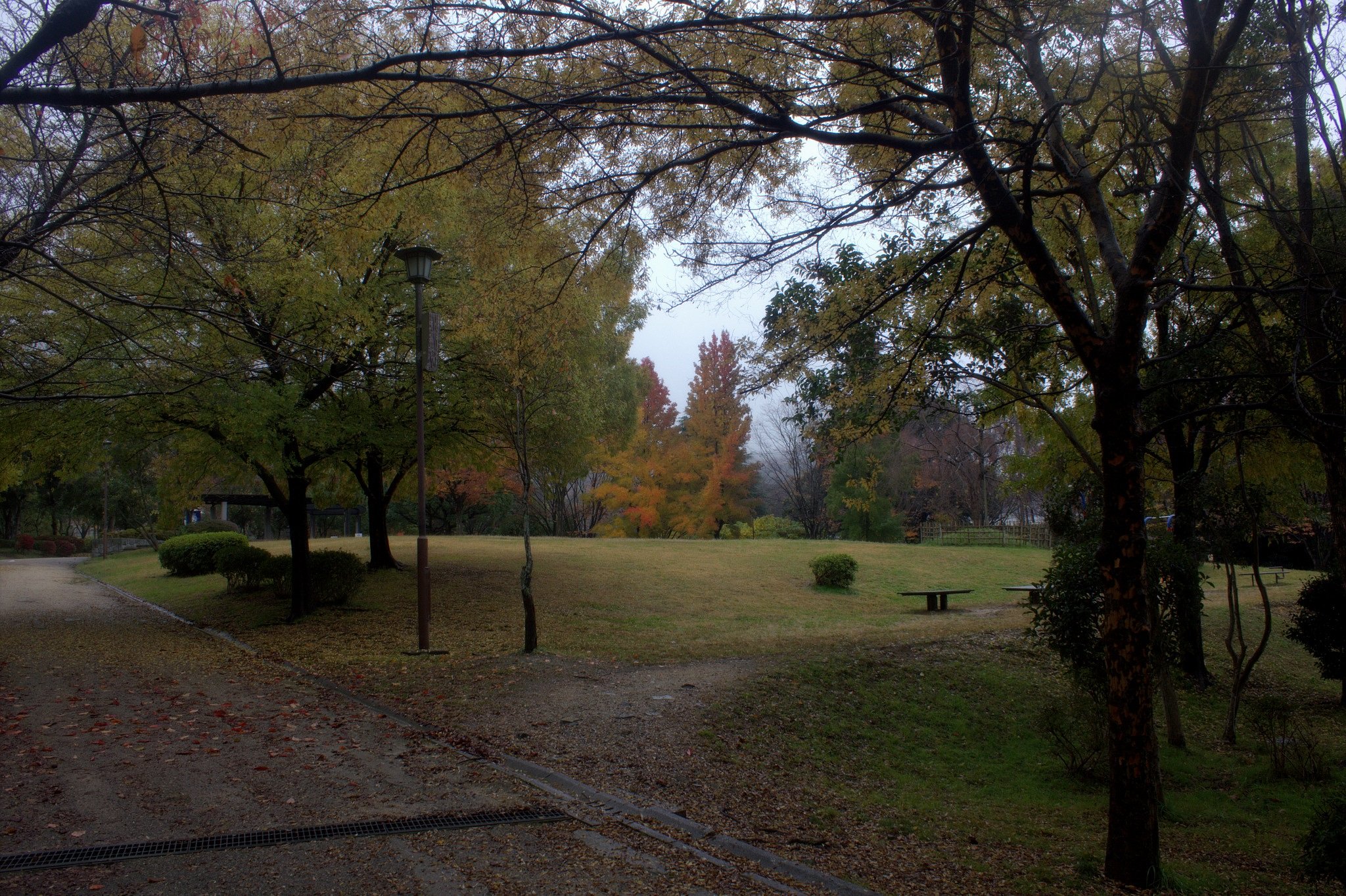 黄檗公園