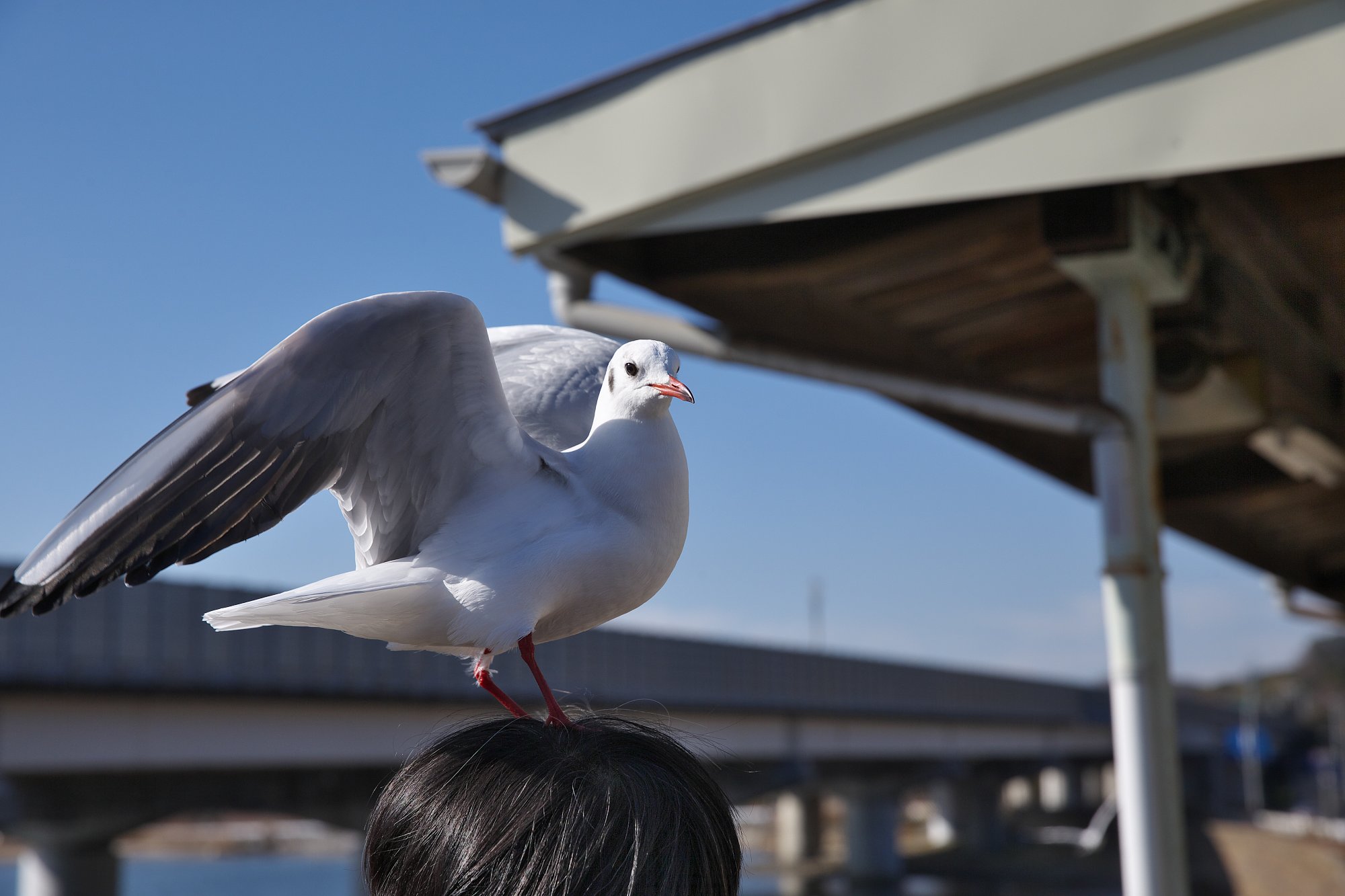 ちょっと失礼