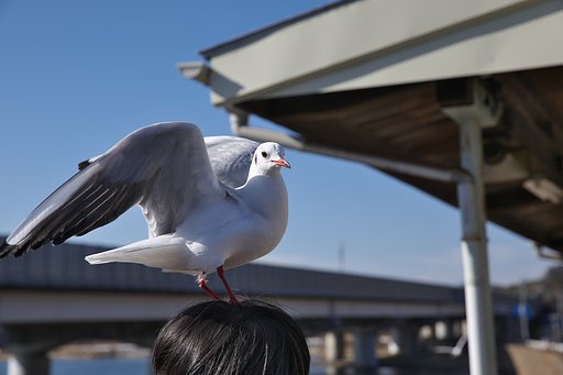 ちょっと失礼