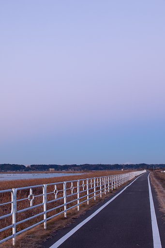 この道を行けば