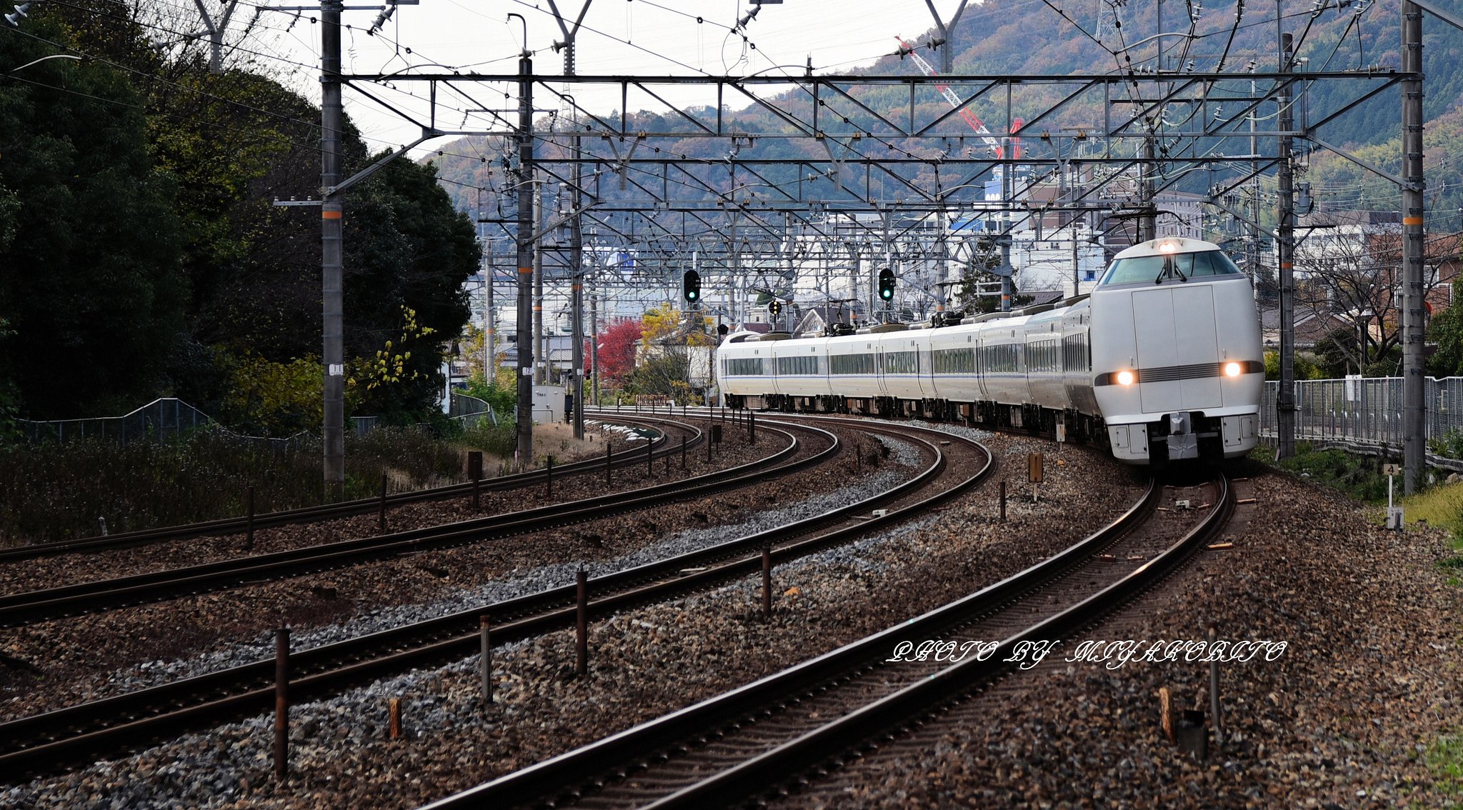 サントリーカーブ