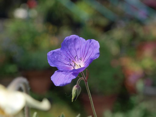 ZD  14-54mm 　F2.8-3.5