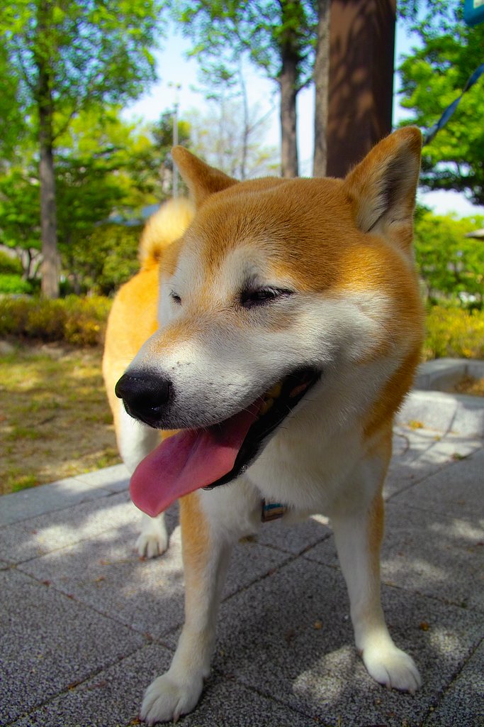 【顔】暑苦しい顔