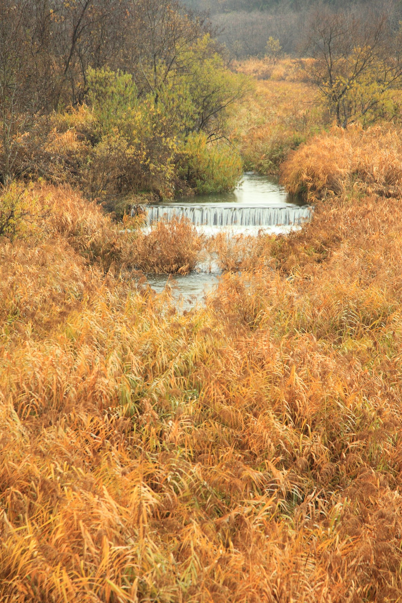 氷雨の米沢