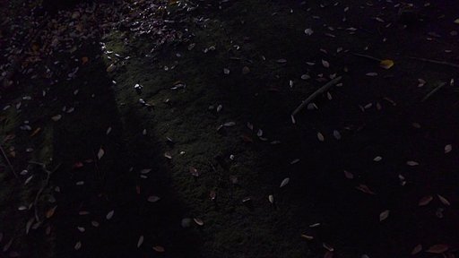 夜
