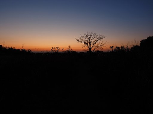 河川敷の夜明け