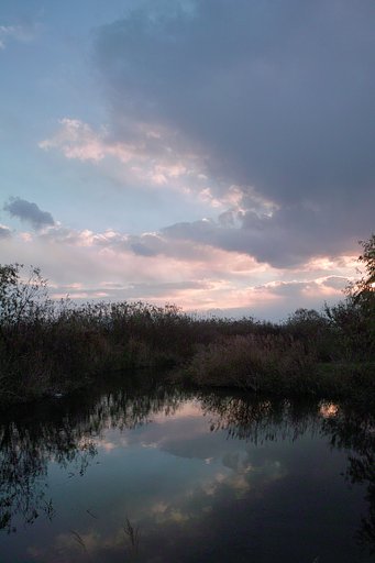 【雲】　今日の日没前