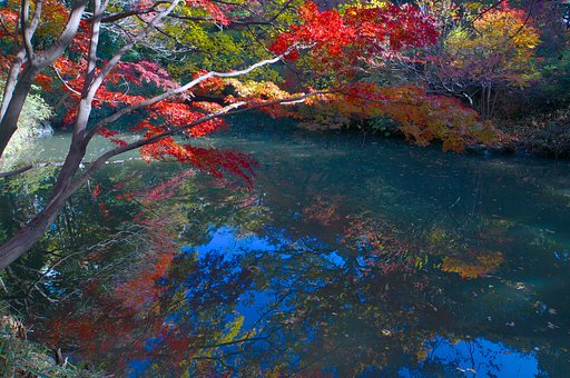 六義園⑤～水面（みなも）の紅葉