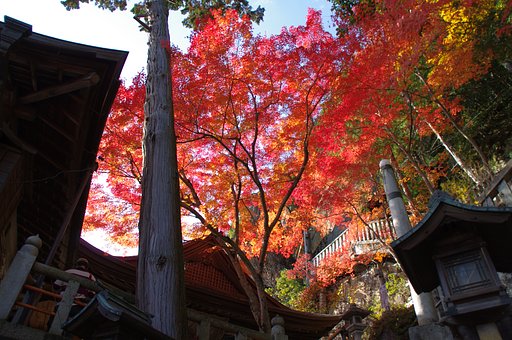太郎坊宮　3